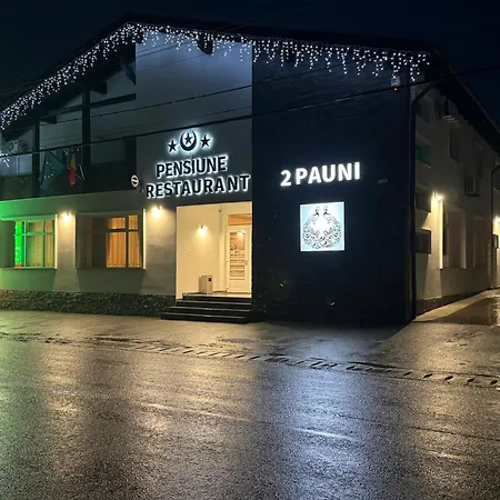 Restaurant Pizzerie 2 Pauni Gasthuis Borşa